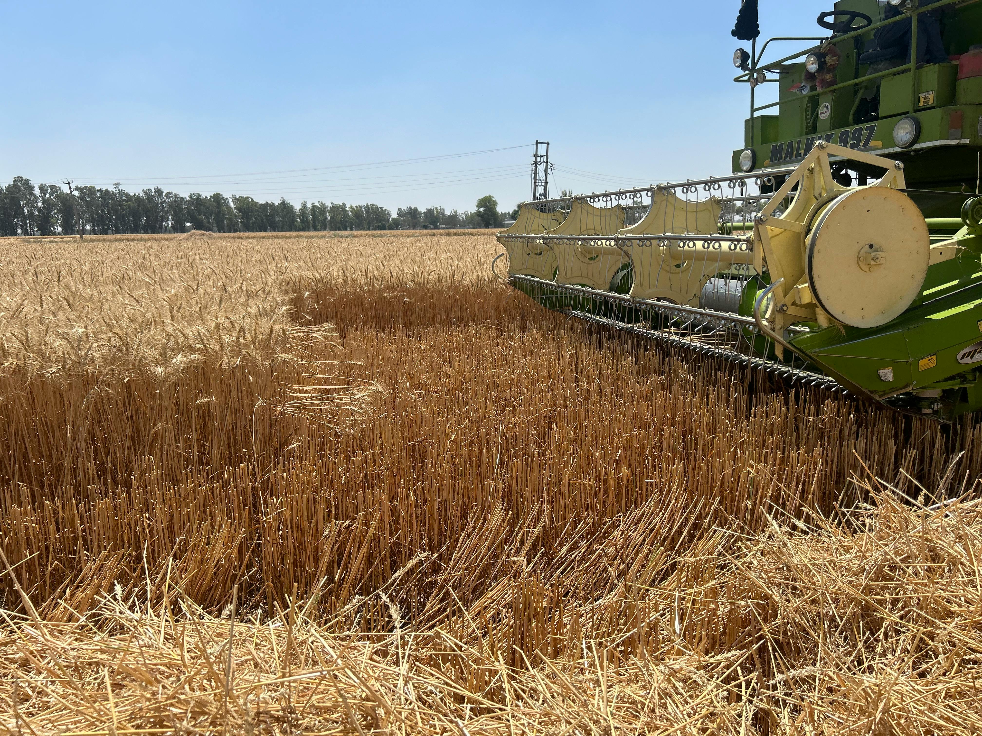 Enquête Agricole